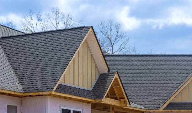Best Roof Moss and Algae Removal  in Woodsville, NH